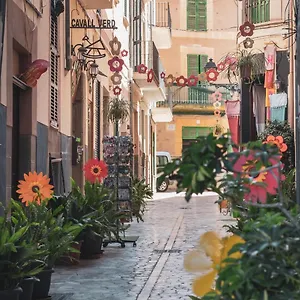 Hotel Ca's Cuscanti, Sóller